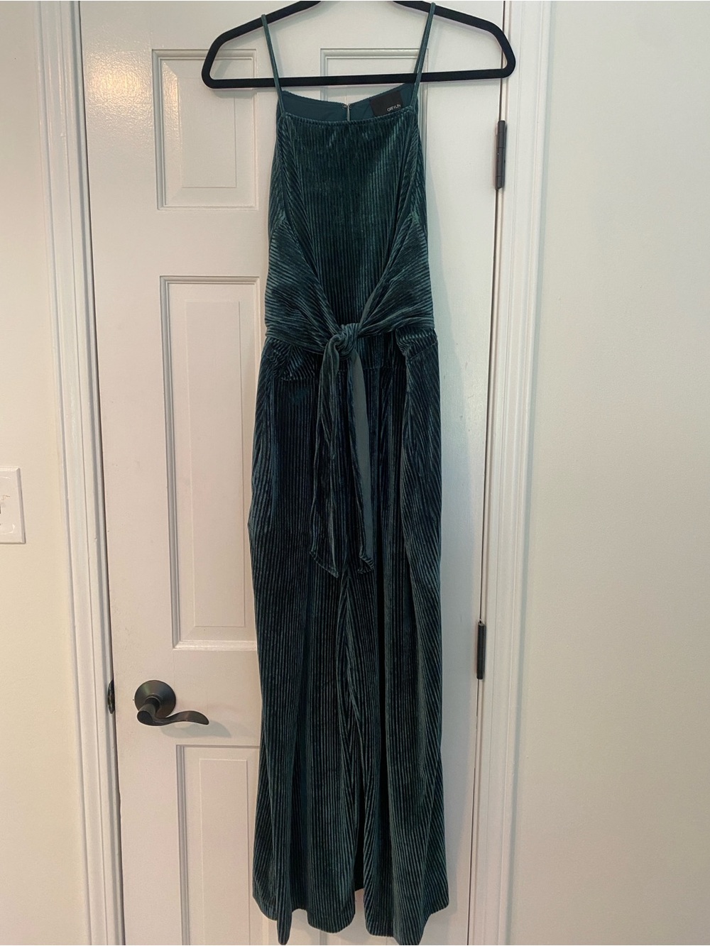 Greylin Velvet Jumpsuit